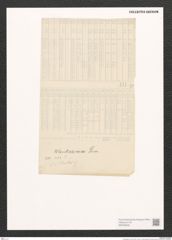 Pleurosigma sp. (de-Toni-Nr.: Genus 13) Zeichnungen Sammlung Grunow (NHMW-BOT-W0369209)